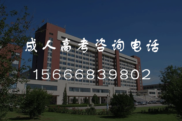 2024年济南成人高考考几天？