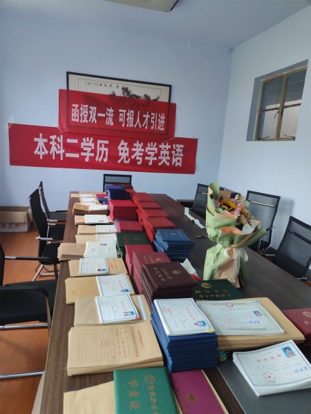 成人高考高升专语文考试答案及解析